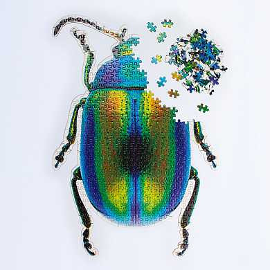 Пазл Slow beetle, 500 элементов (арт. DYPUZZLBE)