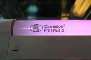 Camelion T8 G13 36W(1400Lm) Bio 1213.6X26 Ft8-36W-Bio Для Растений И Рассады (арт. 59436)