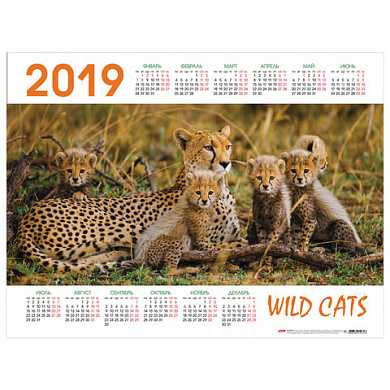 Календарь А2 на 2019 г., HATBER, 45х60 см, горизонтальный, "Wild Cats", Кл2 18773, K288344 (арт. 129378)