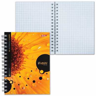 Записная книжка, А6, 80 л., гребень, обложка мелованный картон, HATBER, "iFRESH", 105х145 мм, 80ЗК6B1гр, Z127803 (арт. 126360) купить в интернет-магазине ТОО Снабжающая компания от 294 T, а также и другие Блокноты и записные книжки на сайте dulat.kz оптом и в розницу