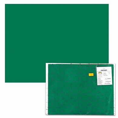 Бумага (картон) CANSON "Iris Vivaldi", А2+, 500х650 мм, 240 г/м2, 2-сторонняя, темно-зеленая, 31 (арт. 124428)
