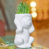Горшок для растений Eco Игнорик (арт. 2003)