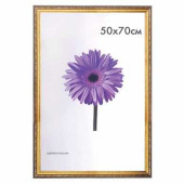 Рамка премиум 50х70 см, пластик, багет 33 мм, "Dorothy", золото, 0023-50-4274 (арт. 390739)