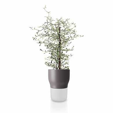 Горшок для растений с функцией самополива D13 см серый (арт. 568154) купить в интернет-магазине ТОО Снабжающая компания от 49 784 T, а также и другие Комнатные растения на сайте dulat.kz оптом и в розницу