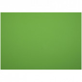 Картон плакатный Werola, 48*68см, 380г/м2, 10л., зеленый (арт. 50001-620)