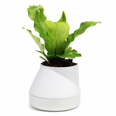 Горшок цветочный Hill pot, маленький, белый (арт. QLX20001-WH)