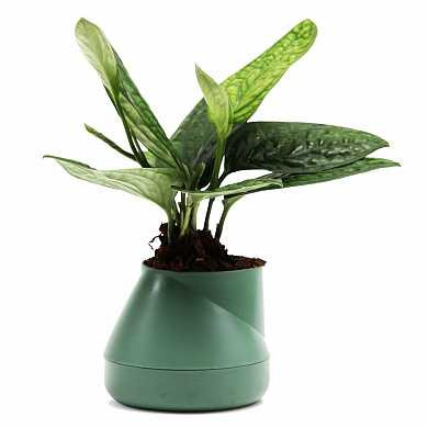 Горшок цветочный Hill pot, маленький, зеленый (арт. QLX20001-GN)