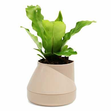 Горшок цветочный Hill pot, маленький, кремовый (арт. QLX20001-CR)