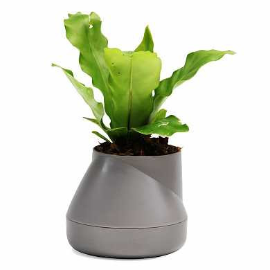 Горшок цветочный Hill pot, маленький, серый (арт. QLX20001-GY)