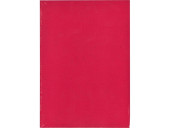 ОБЛОЖКА Д/ПЕРЕПЛЕТА В НАБОРЕ КАРТОННАЯ - 100ШТ. А4 КРАСНЫЙ 230ГР