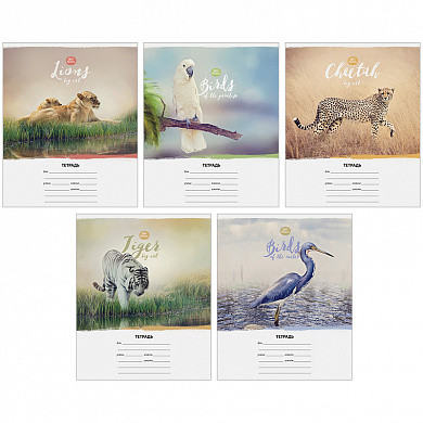 Тетрадь 12л., клетка ArtSpace "Природа. Wild animal" (арт. Т12к_14264) купить в интернет-магазине ТОО Снабжающая компания от 0 T, а также и другие Тетради 12-24 листов на сайте dulat.kz оптом и в розницу