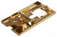 Мышеловка STAYER "MASTER", металлическое основание, малая (арт. 40490-S)