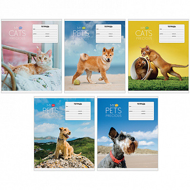 Тетрадь 12л., линия ArtSpace "Питомцы. My pets" (арт. Т12л_14294) купить в интернет-магазине ТОО Снабжающая компания от 0 T, а также и другие Тетради 12-24 листов на сайте dulat.kz оптом и в розницу