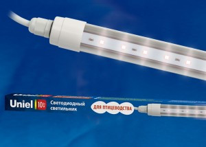 Uniel св-к св/д для птиц 24V 10W пластик L=650mm с коннект. (без б/п!) ULY-P60-10W/SCEP/K IP65 DC24 (арт. 613692) купить в интернет-магазине ТОО Снабжающая компания от 13 328 T, а также и другие Интерьерные светильники на сайте dulat.kz оптом и в розницу