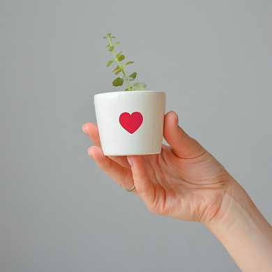 Набор для выращивания Eco мини-кашпо «Сердце» (арт. MIN-2-01) купить в интернет-магазине ТОО Снабжающая компания от 5 243 T, а также и другие Комнатные растения на сайте dulat.kz оптом и в розницу