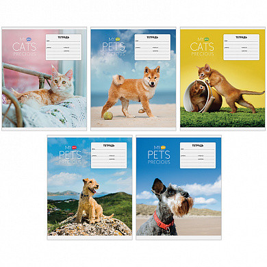 Тетрадь 18л., клетка ArtSpace "Питомцы. My pets" (арт. Т18к_14336) купить в интернет-магазине ТОО Снабжающая компания от 147 T, а также и другие Тетради 12-24 листов на сайте dulat.kz оптом и в розницу