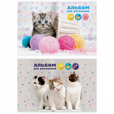Альбом для рисования 40л., А4, на скрепке ArtSpace "Питомцы. So cute" (арт. А40_9089) купить в интернет-магазине ТОО Снабжающая компания от 539 T, а также и другие Альбомы и папки для рисования на сайте dulat.kz оптом и в розницу