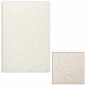 Белый картон грунтованный для масляной живописи, 35х50 см, толщина 0,9 мм, масляный грунт, односторонний (арт. 126568)