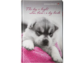 ЕЖЕДНЕВНИК НЕДАТИРОВАННЫЙ - А5 128Л.