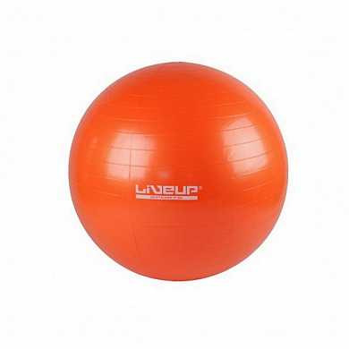 Мяч гимнастический LIVEUP 65 см с насосом (арт. 101:BL)