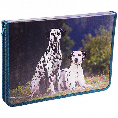 Папка для тетрадей 1 отделение, А4, ArtSpace "Домашние питомцы", картон, молния вокруг, откид. планка (арт. ПТ-Р8_10887) купить в интернет-магазине ТОО Снабжающая компания от 2 205 T, а также и другие Папки и портфели пластиковые на сайте dulat.kz оптом и в розницу