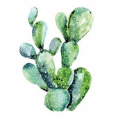 Салфетки Cactus 20 шт. 33х33 см (арт. 1332494)