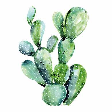 Салфетки Cactus 20 шт. 33х33 см (арт. 1332494)