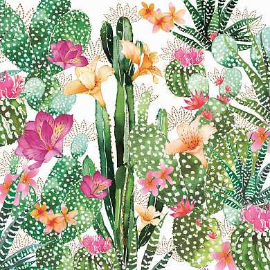 Салфетки Cactus fantasy бумажные 20 шт. (арт. 1332712) купить в интернет-магазине ТОО Снабжающая компания от 3 724 T, а также и другие Салфетки на сайте dulat.kz оптом и в розницу
