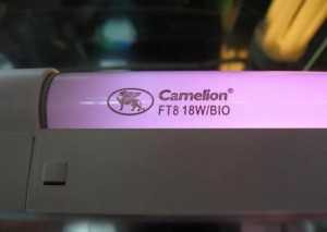 Camelion T8 G13 18W(550Lm) Bio 604X26 Ft8-18W-Bio Для Растений И Рассады (арт. 22622)