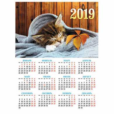 Календарь А2 на 2019 г., HATBER, 45х60 см, вертикальный, "Котенок", Кл2 18638, K287279 (арт. 129375)