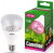 Лампа светодиодная Camelion E27 15W, 120°, для растений, прозрачная, 150x90, LED15-PL/BIO/E27 (арт. 621727) купить в интернет-магазине ТОО Снабжающая компания от 9 408 T, а также и другие Специальные и профессиональные лампы на сайте dulat.kz оптом и в розницу