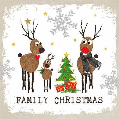Салфетки Family christmas бумажные 20 шт. (арт. 3332506) купить в интернет-магазине ТОО Снабжающая компания от 3 724 T, а также и другие Салфетки на сайте dulat.kz оптом и в розницу