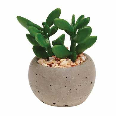 Горшок для растений Succulent pot plant (арт. 02860) купить в интернет-магазине ТОО Снабжающая компания от 6 615 T, а также и другие Декор на сайте dulat.kz оптом и в розницу
