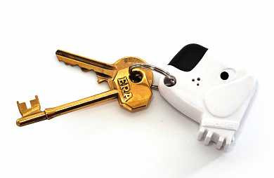 Брелок-искатель для ключей Fetch my keys (арт. SK FETCH1)