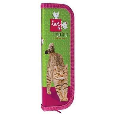 Пенал 1 отделение, для учениц начальной школы, "Полосатый кот", 19х6 см, ПН-0230 (арт. 104397) купить в интернет-магазине ТОО Снабжающая компания от 539 T, а также и другие Пеналы школьные створчатые на сайте dulat.kz оптом и в розницу