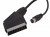 Шнур SCART - DIN 5pin Plug 1.5М REXANT цена за шт (10), 17-1603 (арт. 612320) купить в интернет-магазине ТОО Снабжающая компания от 1 617 T, а также и другие Аналоговые (Rca, Scart, Jack) на сайте dulat.kz оптом и в розницу