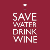 Салфетки Save water drink wine бумажные 20 шт. (арт. 007803)