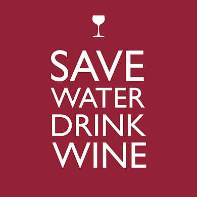 Салфетки Save water drink wine бумажные 20 шт. (арт. 007803) купить в интернет-магазине ТОО Снабжающая компания от 3 724 T, а также и другие Салфетки на сайте dulat.kz оптом и в розницу