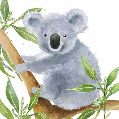 Салфетки Tropical koala bear бумажные 20 шт. (арт. 1332708)
