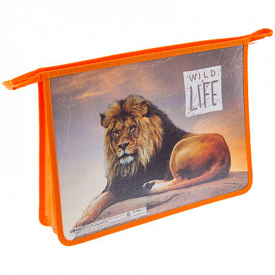 Папка для труда 2 отделения, А4, ArtSpace "Дикие кошки", пластик, на молнии (арт. ПТ-Р115_10876) купить в интернет-магазине ТОО Снабжающая компания от 1 764 T, а также и другие Папки и портфели пластиковые на сайте dulat.kz оптом и в розницу Папка для труда 2 отделения, А4, ArtSpace "Дикие кошки", пластик, на молнии (арт. ПТ-Р115_10876) купить в интернет-магазине ТОО Снабжающая компания от 1 764 T, а также и другие Папки и портфели пластиковые на сайте dulat.kz оптом и в розницу