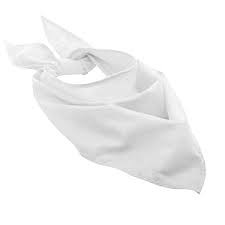 Косынка купить в интернет-магазине ТОО Снабжающая компания от 406 T, а также и другие Средства индивидуальной защиты на сайте dulat.kz оптом и в розницу