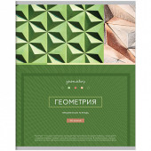 Тетрадь предметная 48л. ArtSpace "Новый век" - Геометрия, металлизация, ТВИН-лак, конгрев (арт. Тп48ТЛКМк_17148)