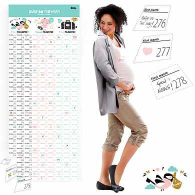 Календарь для беременных Baby on the way (арт. DOBCBAS)